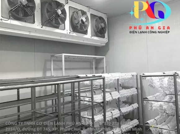 Kho cấp đông sầu riêng